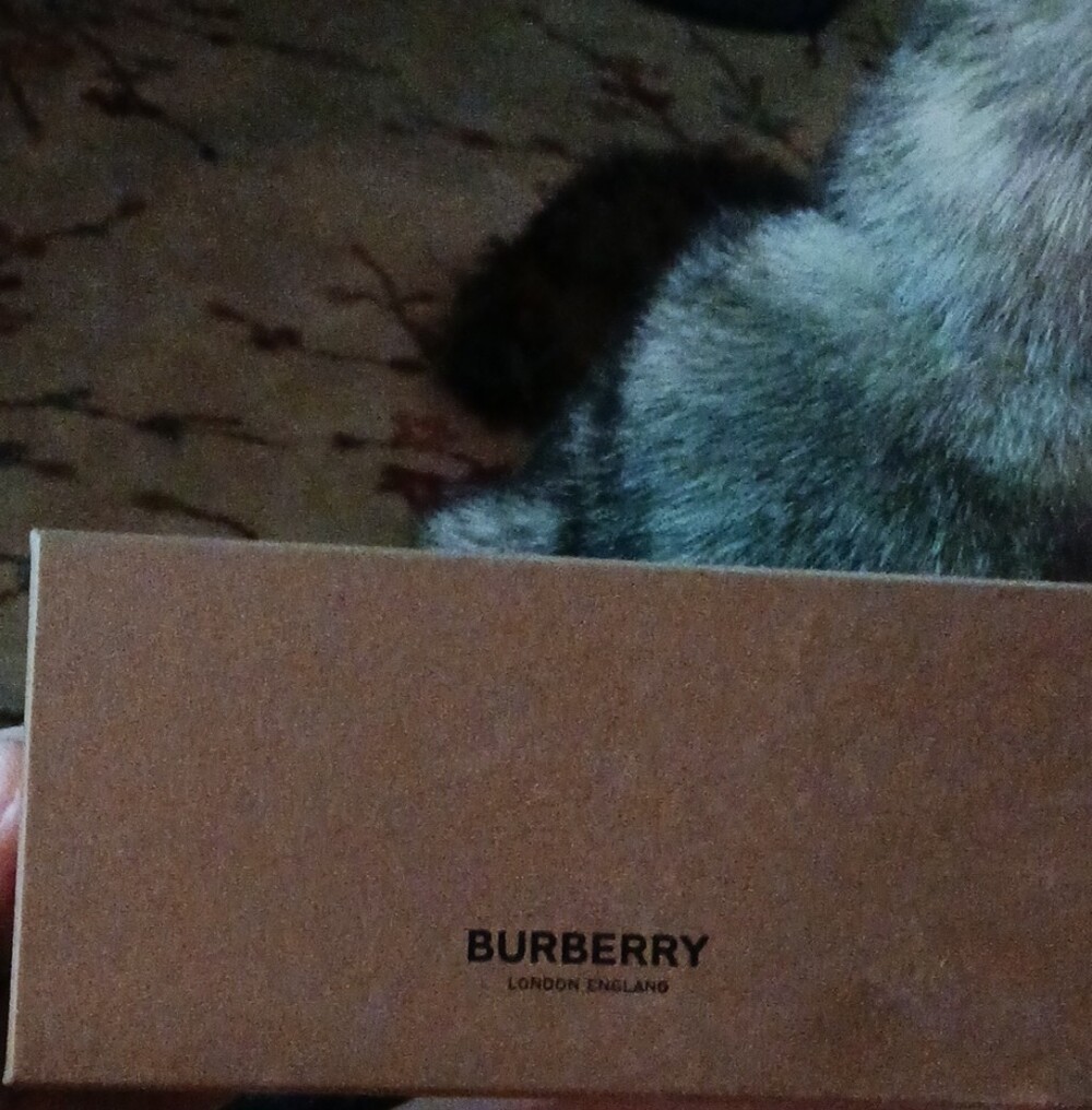Burberry Tan Logo Box